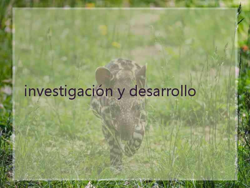 investigación y desarrollo