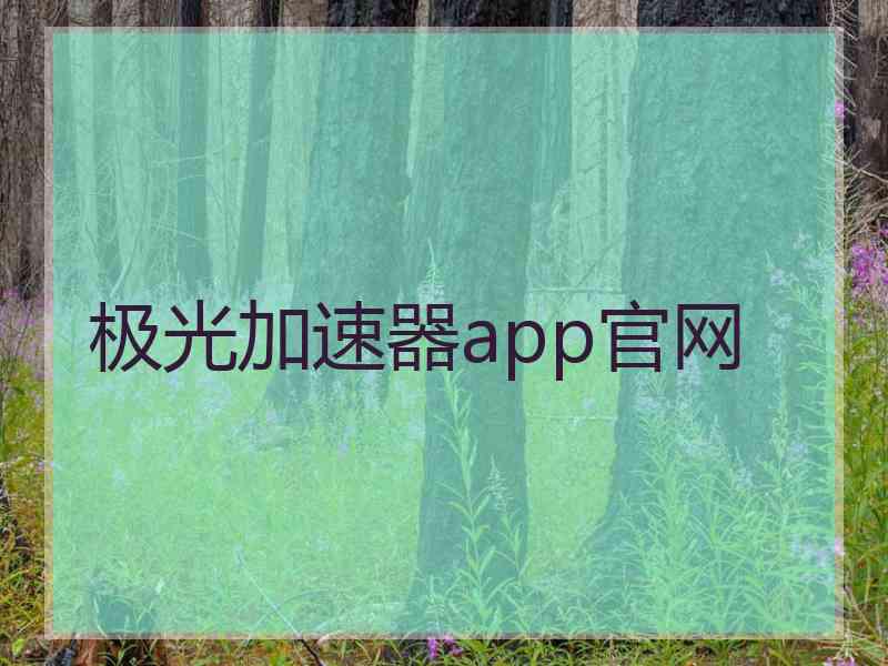 极光加速器app官网