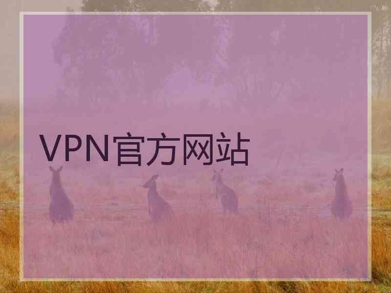 VPN官方网站