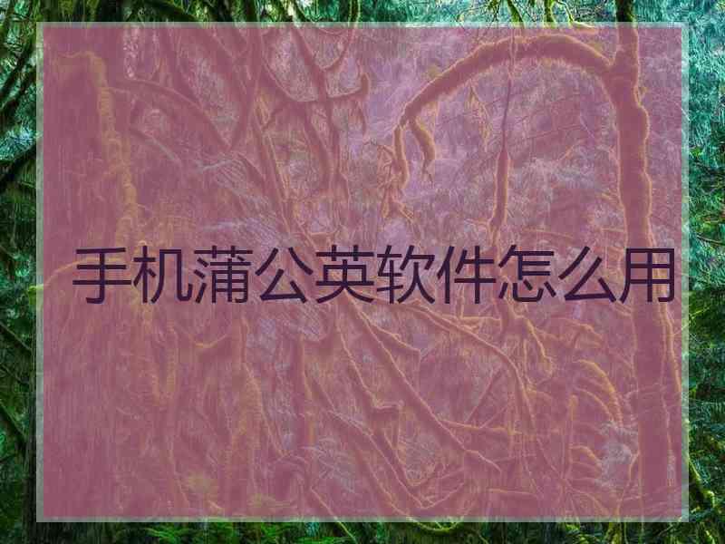 手机蒲公英软件怎么用