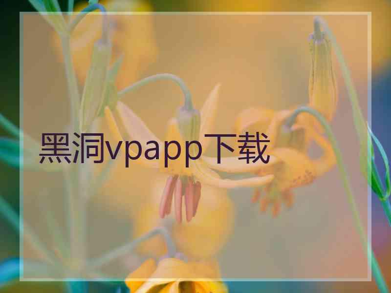 黑洞vpapp下载