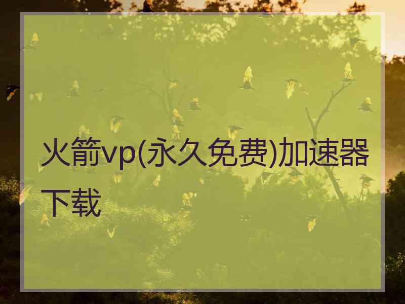 火箭vp(永久免费)加速器下载