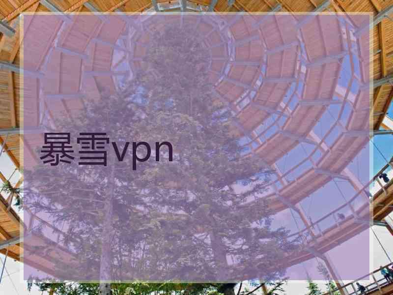 暴雪vpn