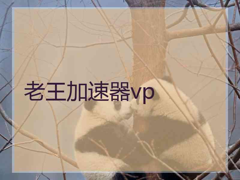 老王加速器vp