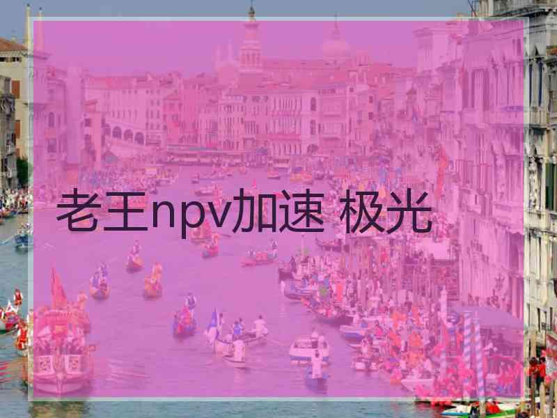 老王npv加速 极光