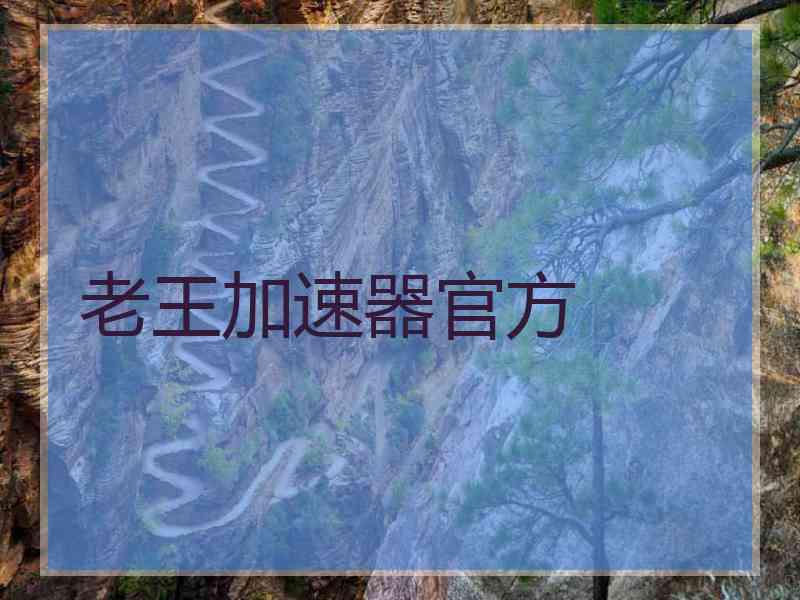 老王加速器官方
