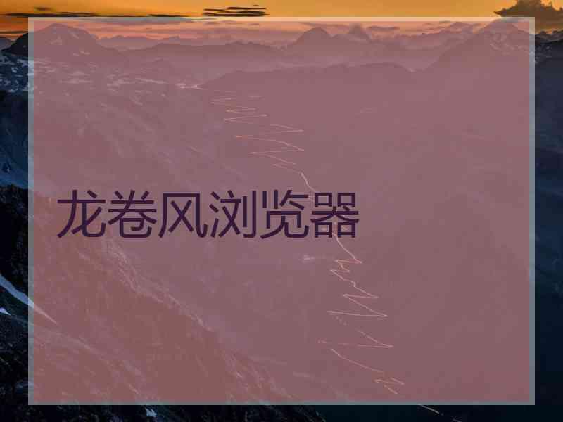 龙卷风浏览器