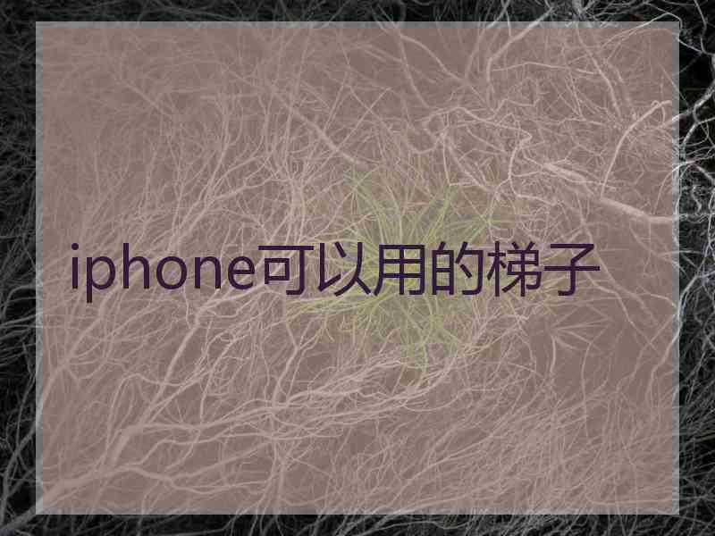 iphone可以用的梯子