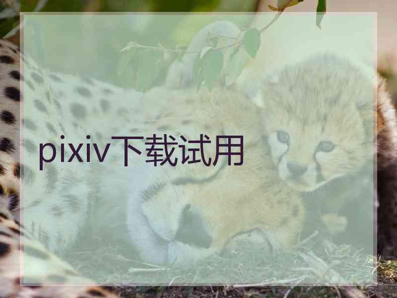 pixiv下载试用