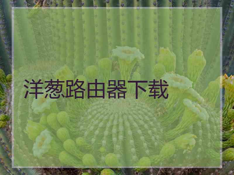 洋葱路由器下载