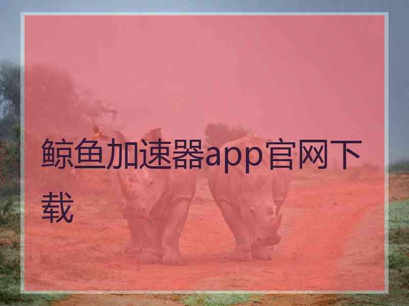 鲸鱼加速器app官网下载