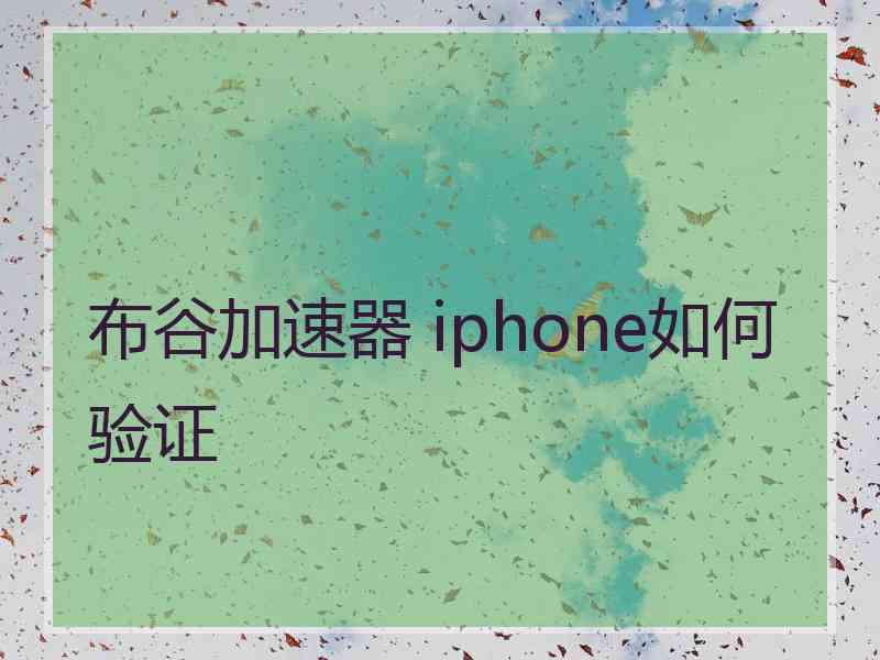 布谷加速器 iphone如何验证