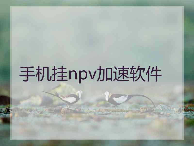 手机挂npv加速软件