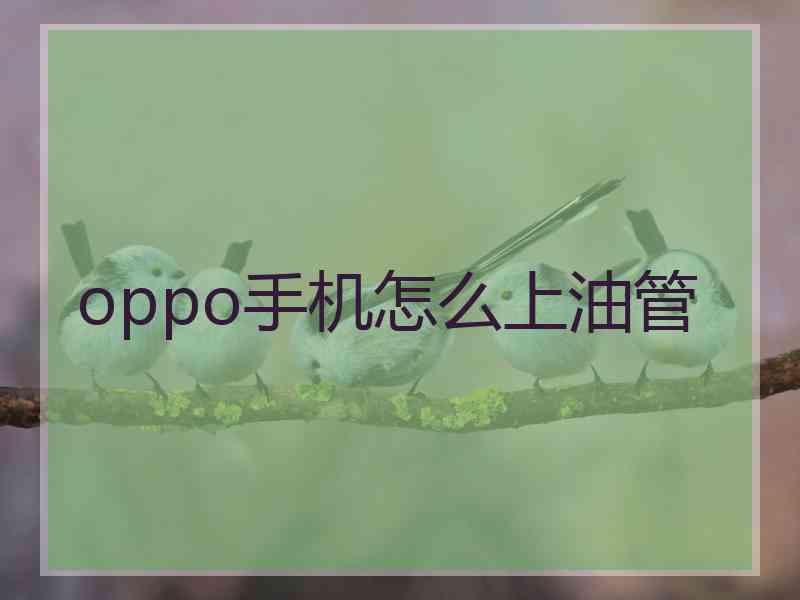 oppo手机怎么上油管