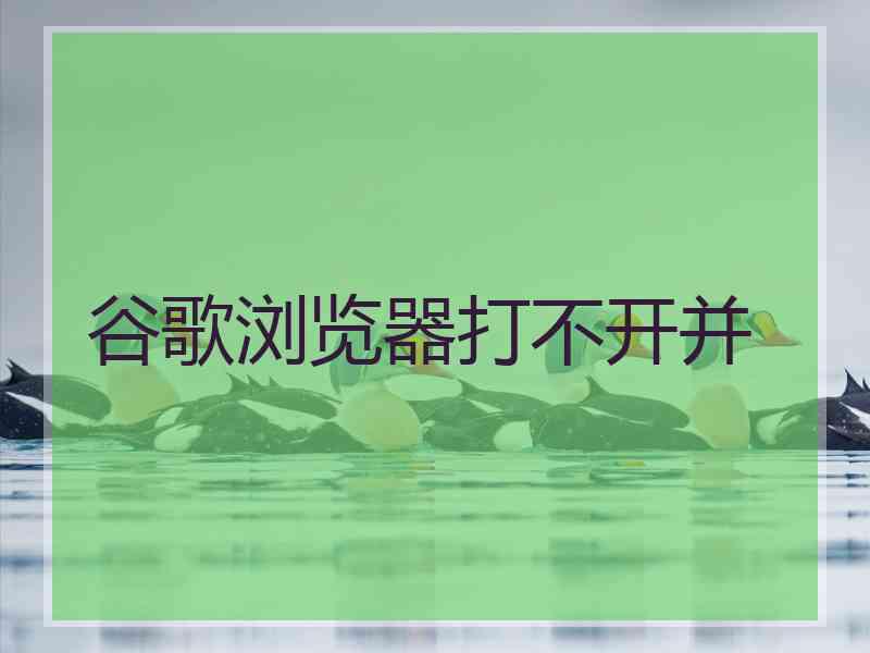 谷歌浏览器打不开并