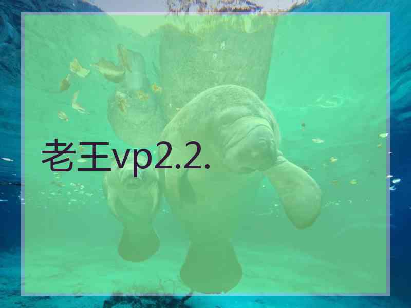 老王vp2.2.