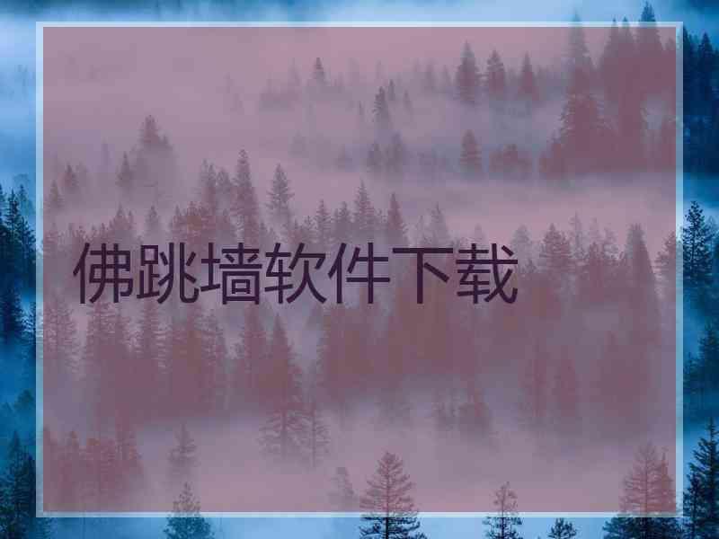 佛跳墙软件下载