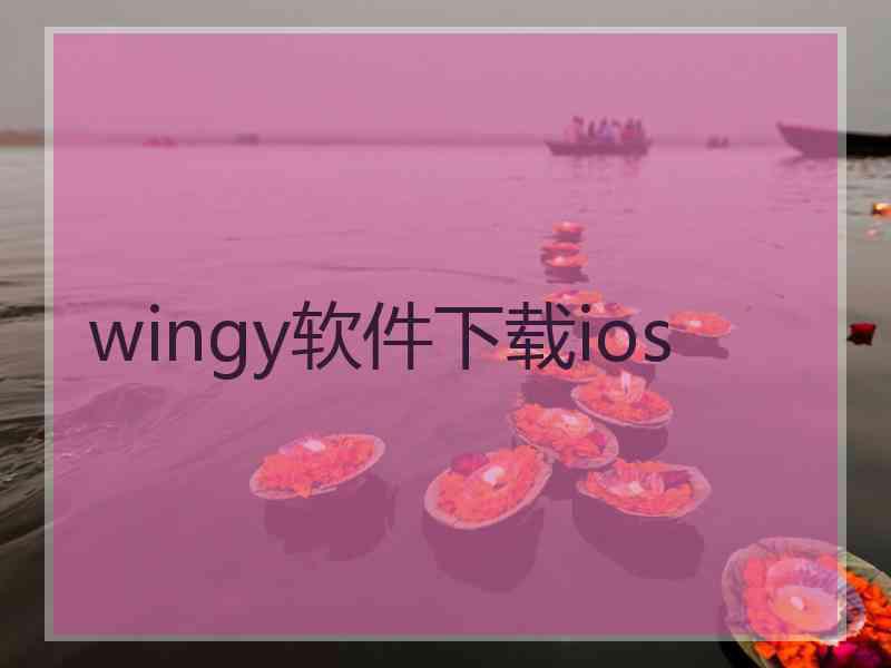 wingy软件下载ios