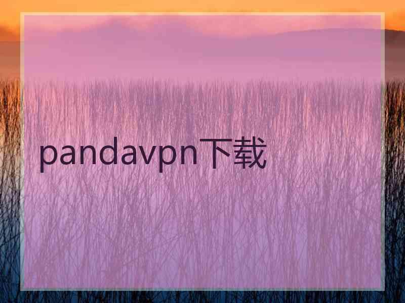 pandavpn下载