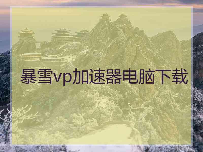 暴雪vp加速器电脑下载