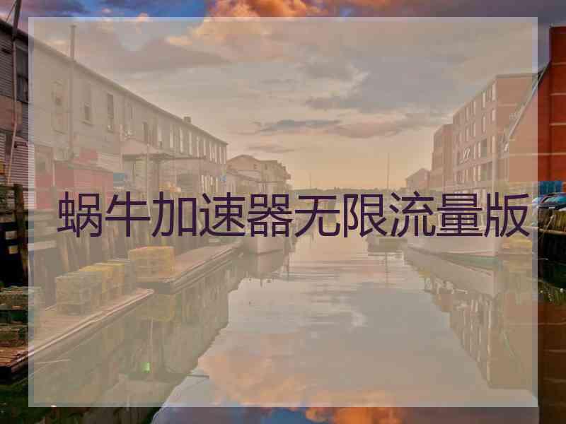 蜗牛加速器无限流量版