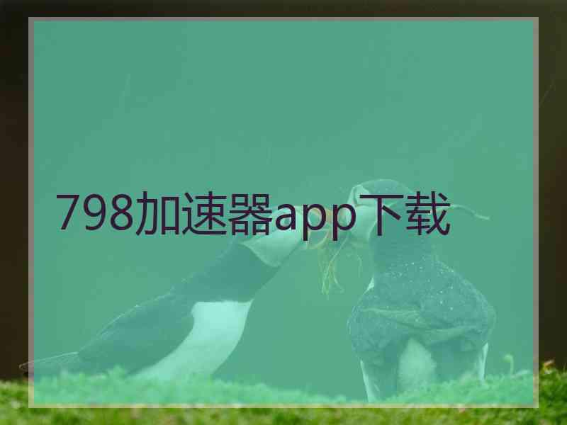 798加速器app下载