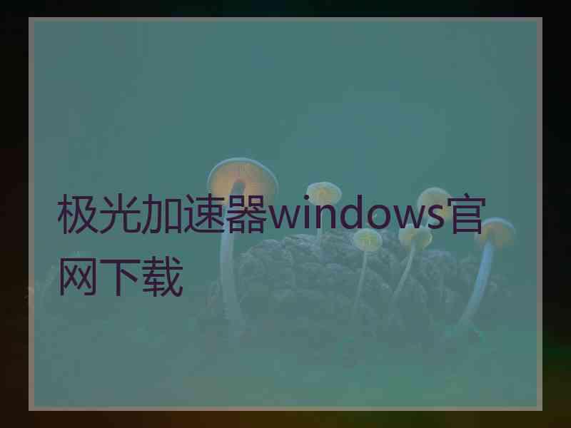 极光加速器windows官网下载