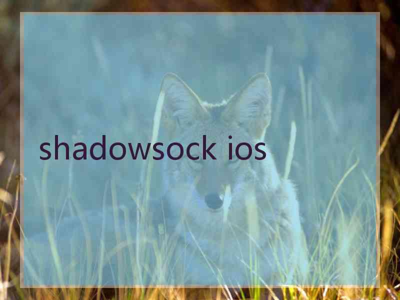 shadowsock ios