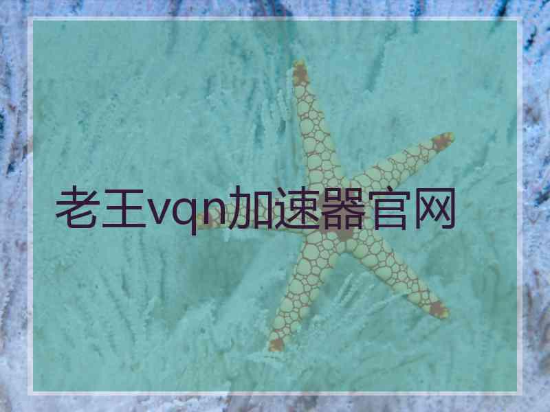 老王vqn加速器官网