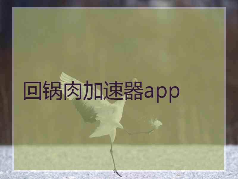 回锅肉加速器app