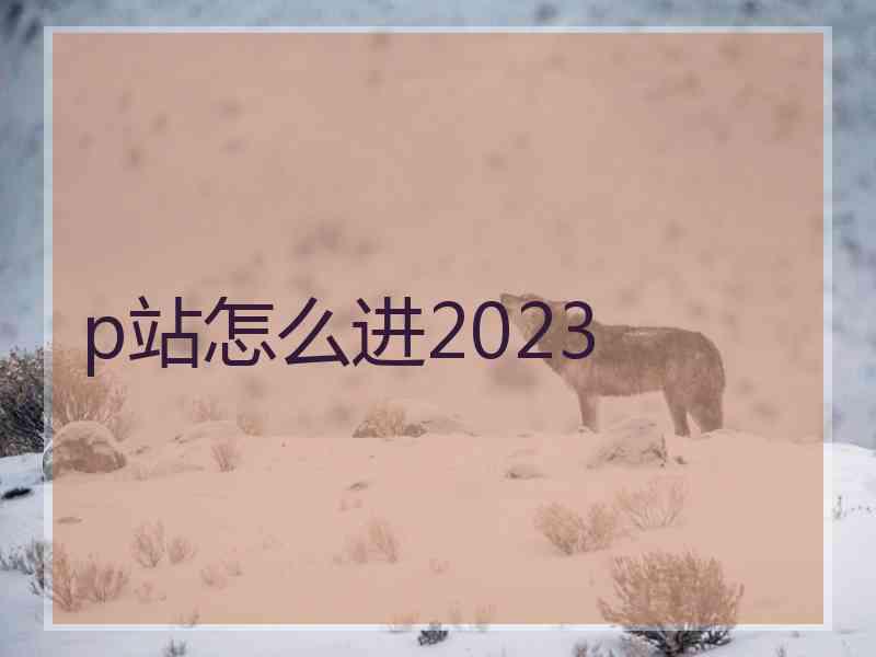 p站怎么进2023