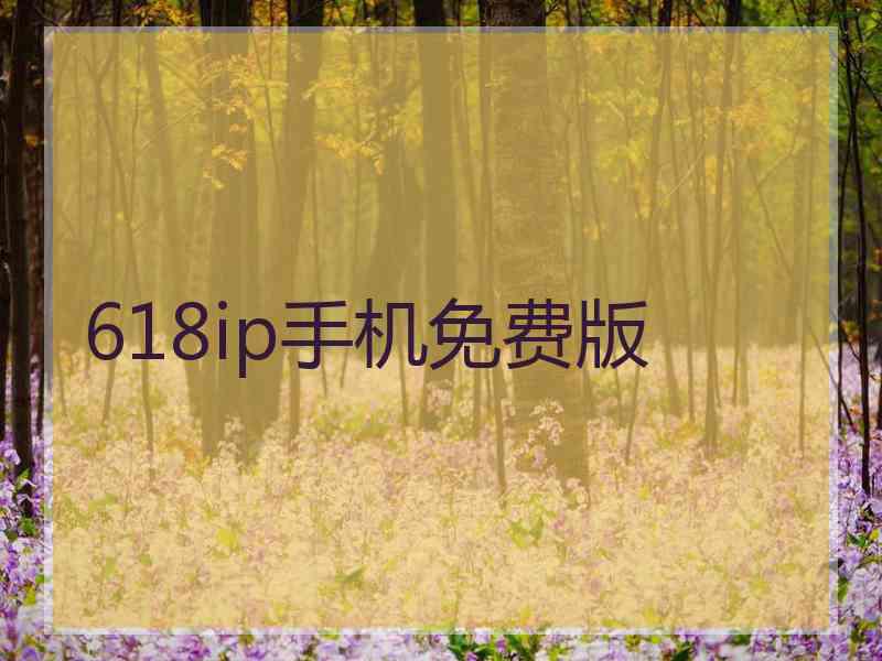 618ip手机免费版