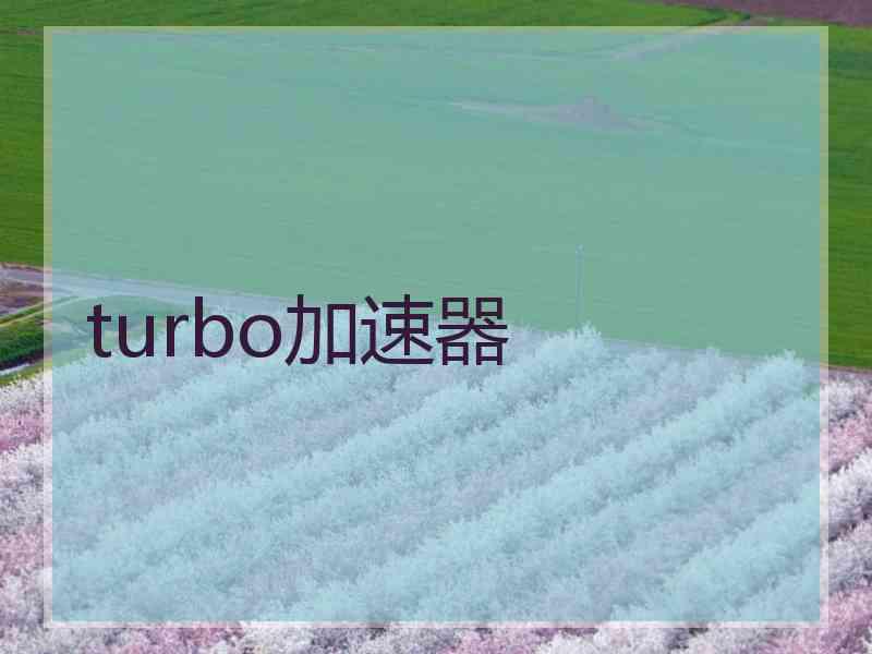 turbo加速器