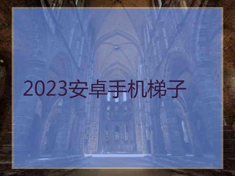 2023安卓手机梯子