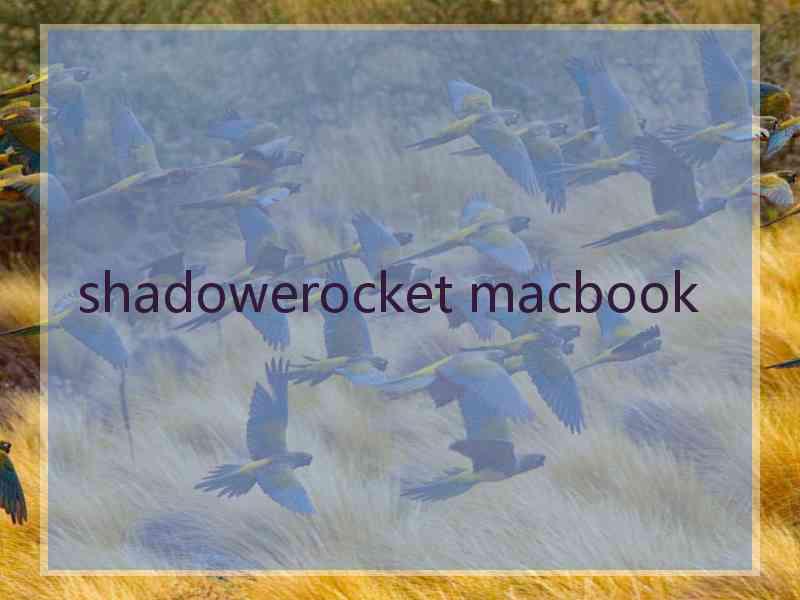 shadowerocket macbook