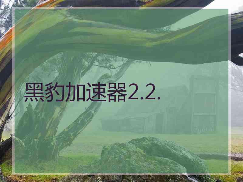 黑豹加速器2.2.