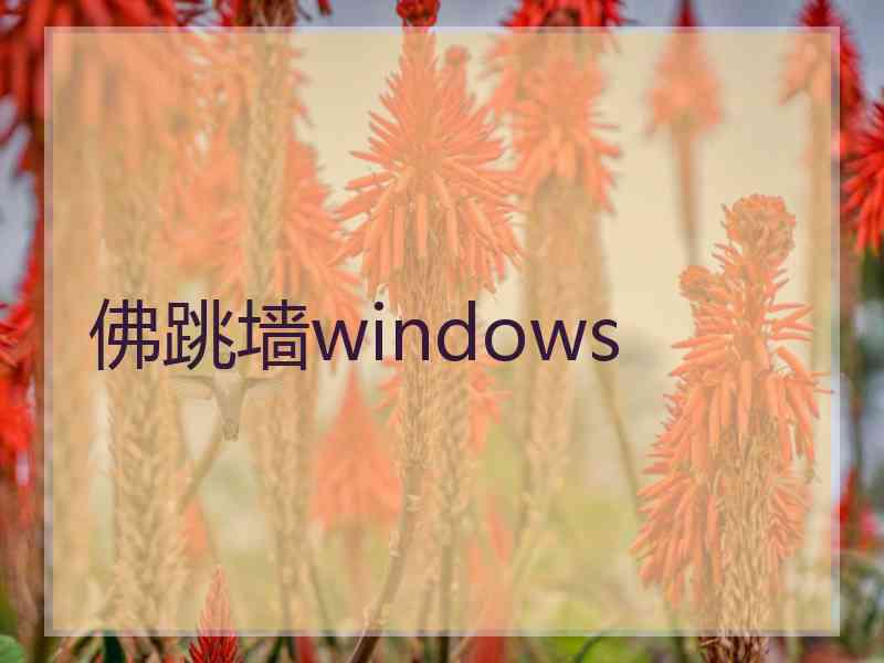 佛跳墙windows