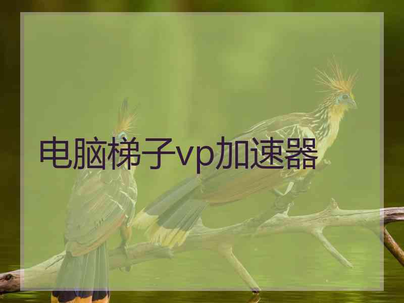 电脑梯子vp加速器