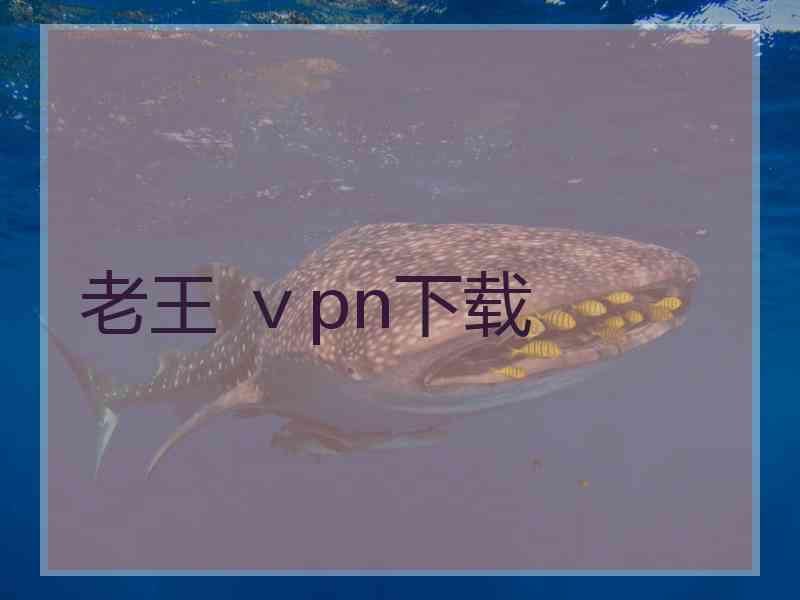 老王 ⅴpn下载