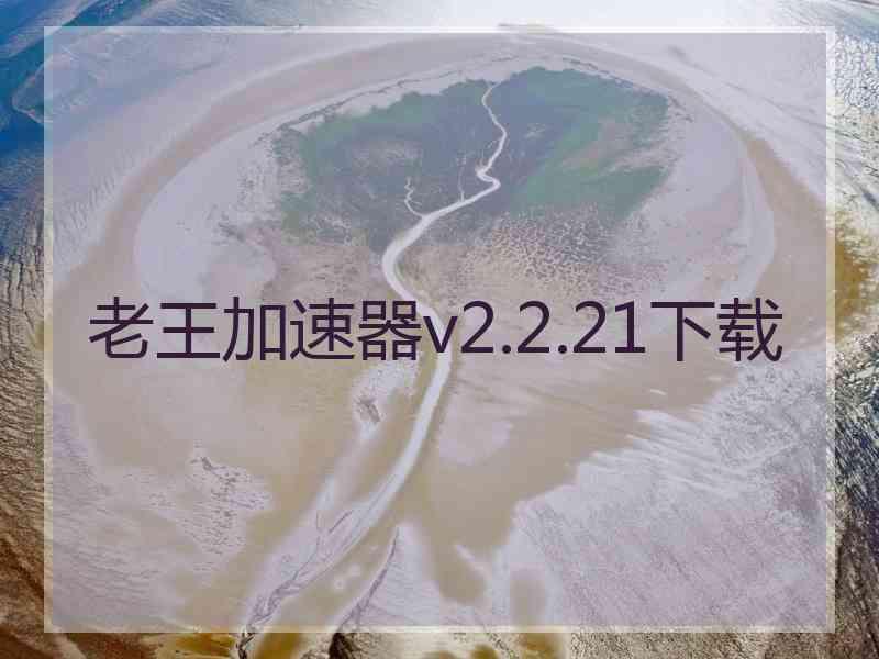 老王加速器v2.2.21下载