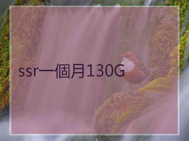 ssr一個月130G