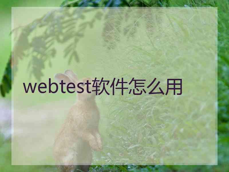 webtest软件怎么用