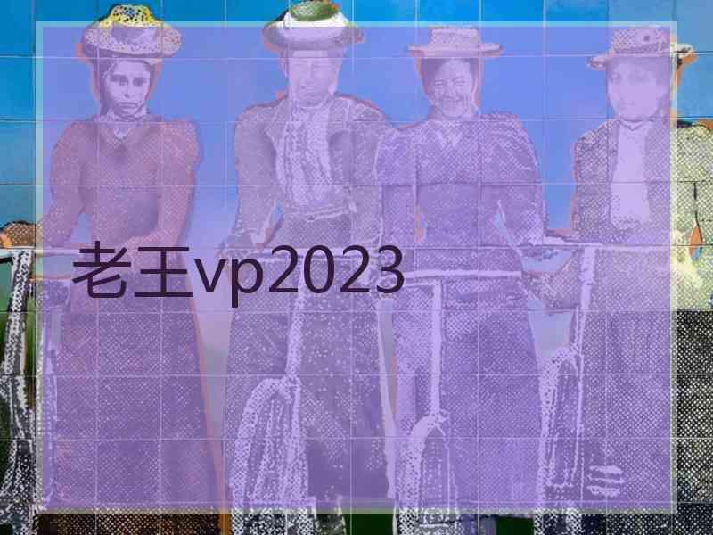 老王vp2023