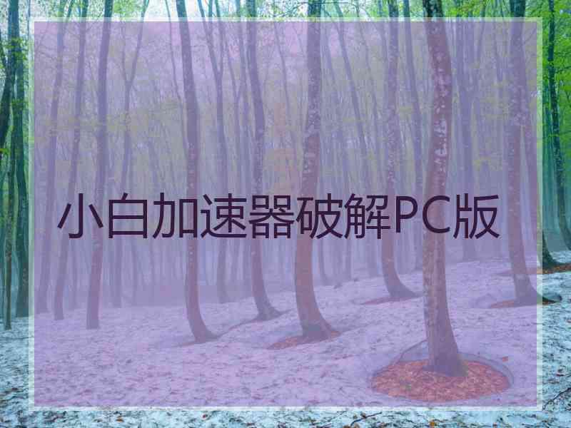 小白加速器破解PC版