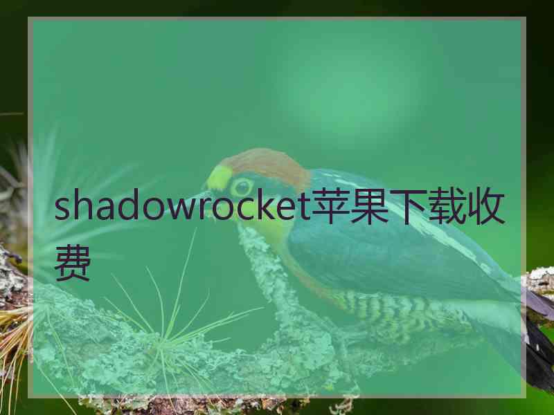 shadowrocket苹果下载收费