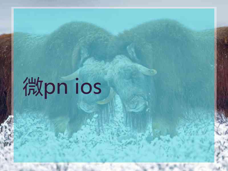 微pn ios