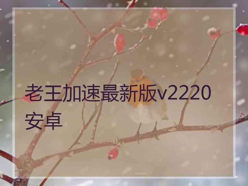 老王加速最新版v2220安卓