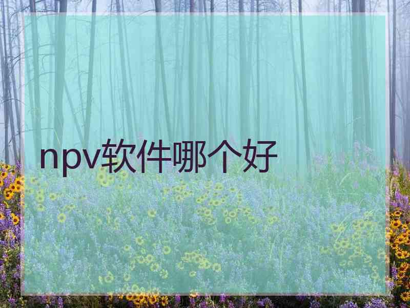 npv软件哪个好