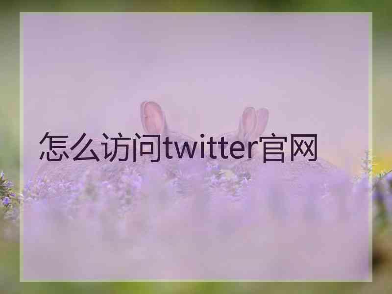 怎么访问twitter官网