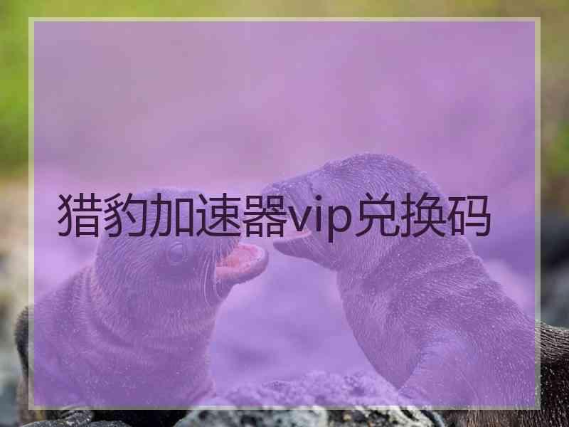 猎豹加速器vip兑换码